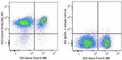APC anti-mouse CD31 (PECAM-1) Antibody (160209)
