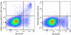 APC/Fire™ 810 anti-mouse CX3CR1 Antibody (149053)