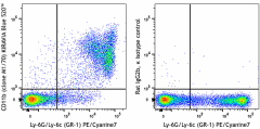KIRAVIA Blue 520™ anti-mouse/human CD11b Antibody (101297)