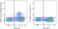 Purified anti-mouse CMKLR1 Antibody (168602)
