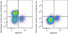 APC anti-STAT5 Phospho (Tyr694) Antibody (936905)