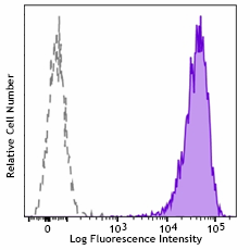 PE/Cyanine7 anti-human MRGX2 Antibody (359007)