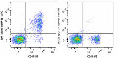 GMP APC anti-human IgM Antibody (260548)