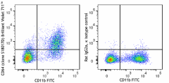 Brilliant Violet 711™ anti-mouse CD64 (FcγRI) Antibody (161013)