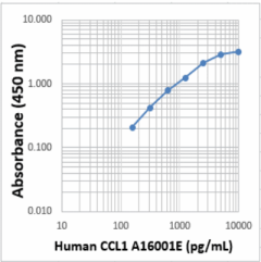 Purified anti-human CCL1 (I-309) Antibody (613252)