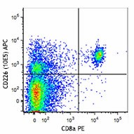 APC anti-mouse CD226 (DNAM-1) Antibody (128809)