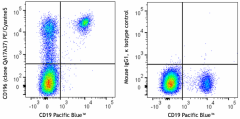 PE/Cyanine5 anti-human CD196 (CCR6) Recombinant Antibody (399009)