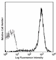 Biotin anti-mouse H-2Kk Antibody (114903)