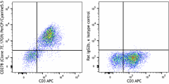 PerCP/Cyanine5.5 anti-mouse CD278 (ICOS) Antibody (117423)