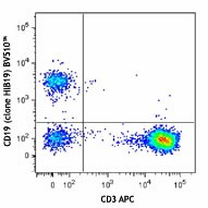 Brilliant Violet 510™ anti-human CD19 Antibody (302241)