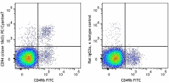 PE/Cyanine7 anti-mouse CD94 Antibody (105509)