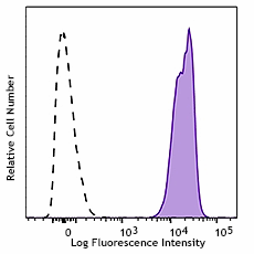 PE/Cyanine7 anti-rat CD47 Antibody (204111)