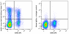 Brilliant Violet 711™ anti-human KLRG1 (MAFA) Antibody (367743)