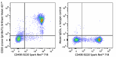 Brilliant Violet 421™ anti-mouse CD20 Recombinant Antibody (161411)