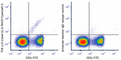 PerCP/Cyanine5.5 anti-mouse TCR γ/δ Antibody (118117)
