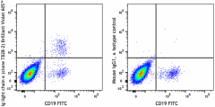 Brilliant Violet 605™ anti-human Ig light chain κ Antibody (392715)