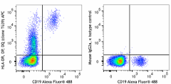 APC anti-human HLA-DR, DP, DQ Antibody (361713)