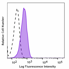 Purified anti-human ROR2 Antibody (378502)