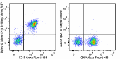 Brilliant Violet 785™ anti-mouse Siglec-G Antibody (163321)