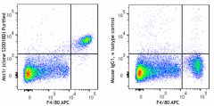 Purified anti-mouse CD136 (Mst1r) Antibody (112402)