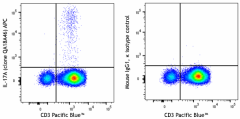 APC anti-human IL-17A Recombinant Antibody (385903)