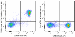 Alexa Fluor® 488 anti-mouse CD20 Antibody (150431)