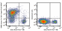 Spark PLUS B550™ anti-mouse CD80 Antibody (104763)