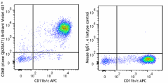 Brilliant Violet 421™ anti-rat CD68 Recombinant Antibody (201005)