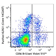 Purified anti-human KLRG1 (MAFA) Antibody (368602)
