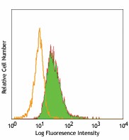 Purified anti-human CD148 Antibody (328702)