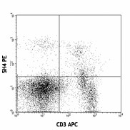 Biotin anti-mouse CD122 (IL-2Rβ) Antibody (105903)