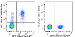 Purified anti-human HVCN1 Antibody (377106)