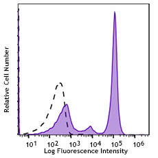 Spark NIR™ 685 anti-mouse/human CD45R/B220 Antibody (103268)