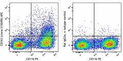 APC anti-mouse CD163 Antibody (155305)