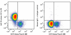 PE anti-human/mouse ZAP-70 Antibody (313403)