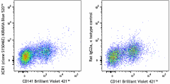 KIRAVIA Blue 520™ anti-human XCR1 Antibody (372623)
