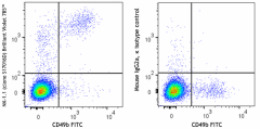Brilliant Violet 785™ anti-mouse NK-1.1 Antibody (156539)