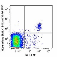 Brilliant Violet 605™ anti-mouse CD335 (NKp46) Antibody (137619)