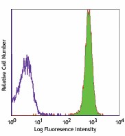 FITC anti-rat CD45 Antibody (202205)