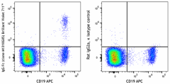 Brilliant Violet 711™ anti-human IgG Fc Antibody (410739)