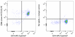PE anti-human CD86 Antibody (381009)