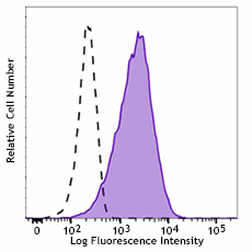 Purified anti-human CD133 Antibody (393901)