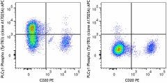 APC anti-PLCγ1 Phospho (Tyr783) Antibody (612405)