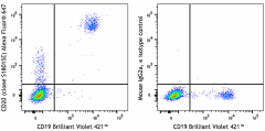 Alexa Fluor® 647 anti-human CD20 Antibody (375521)