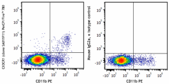 PerCP/Fire™ 780 anti-mouse CX3CR1 Antibody (149063)