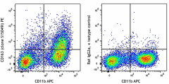 PE anti-mouse CD163 Antibody (155307)