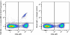 PerCP/Cyanine5.5 anti-mouse TCR Vβ5.1, 5.2 Antibody (139509)