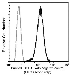 SOD1/Superoxide Dismutase Monoclonal Antibody (AN200019P)