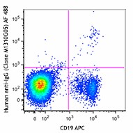 Alexa Fluor® 488 anti-human IgG Fc Antibody (410705)