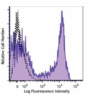 PE/Cyanine7 anti-rat CD45RA Antibody (202315)